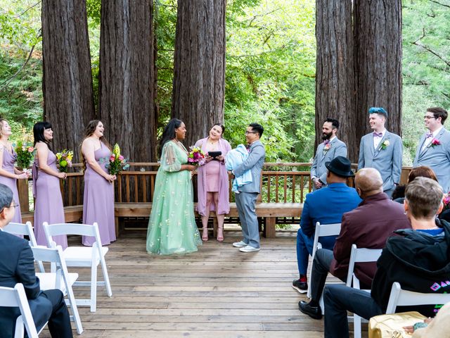 Dzu and Telia&apos;s Wedding in Saratoga, California 20