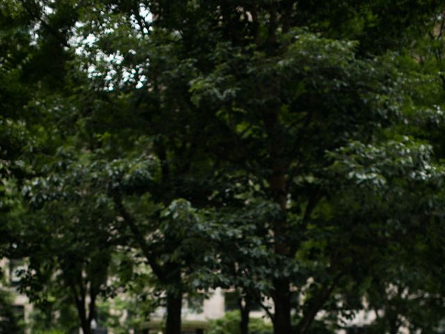 Lauren and Patrick&apos;s Wedding in Boston, Massachusetts 16