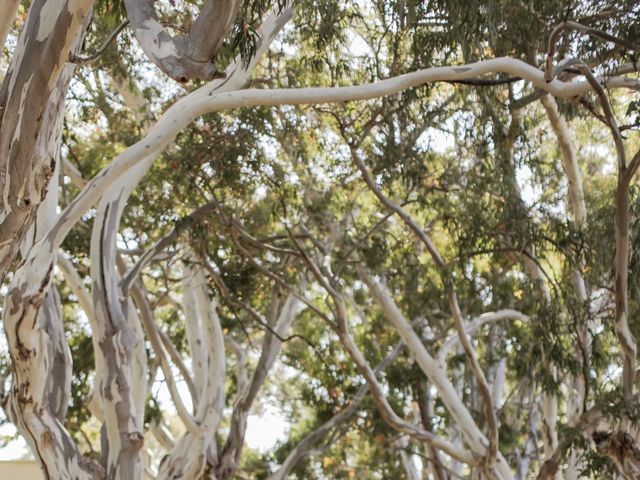 Timothy and Giulia's Wedding in San Rafael, California 6