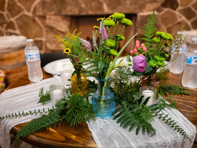 Devon and Natalie's Wedding in Ellijay, Georgia 18