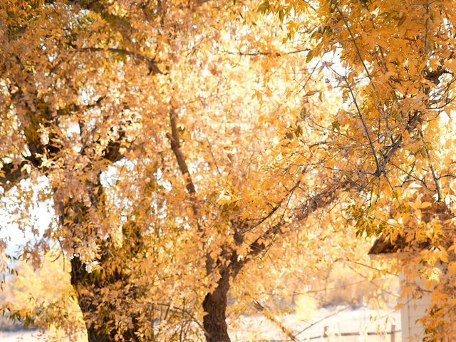 Brian and Caroline&apos;s Wedding in Longmont, Colorado 19