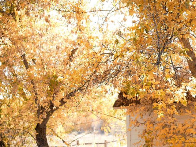 Brian and Caroline&apos;s Wedding in Longmont, Colorado 20