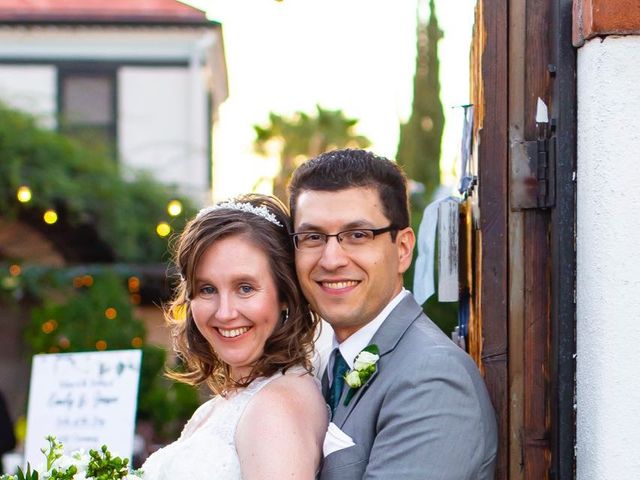 Emily and Jason&apos;s Wedding in Tucson, Arizona 28
