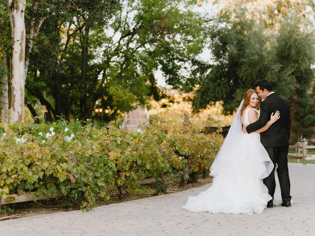 Bibhor and Mercede&apos;s Wedding in Temecula, California 7