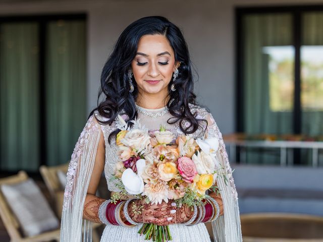 Will and Ravina&apos;s Wedding in Carlsbad, California 1