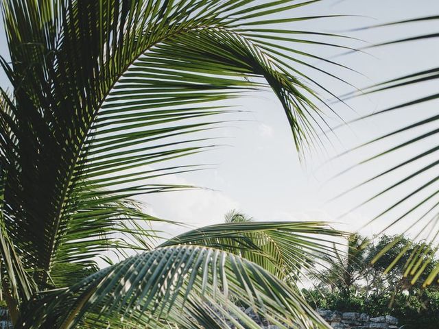 Anthony and Alejandra&apos;s Wedding in Playa del Carmen, Mexico 7