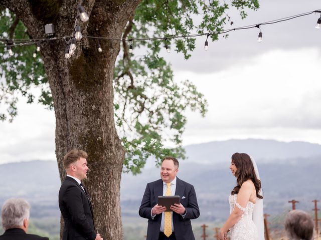 Tyler and Christa&apos;s Wedding in Napa, California 19