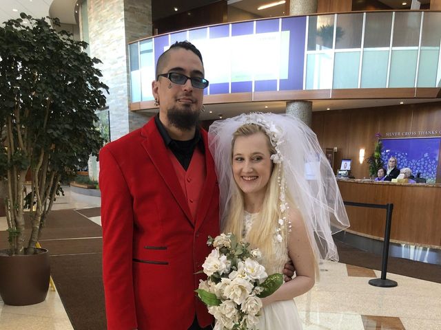 Dan  and Beth 's Wedding in New Lenox, Illinois 5