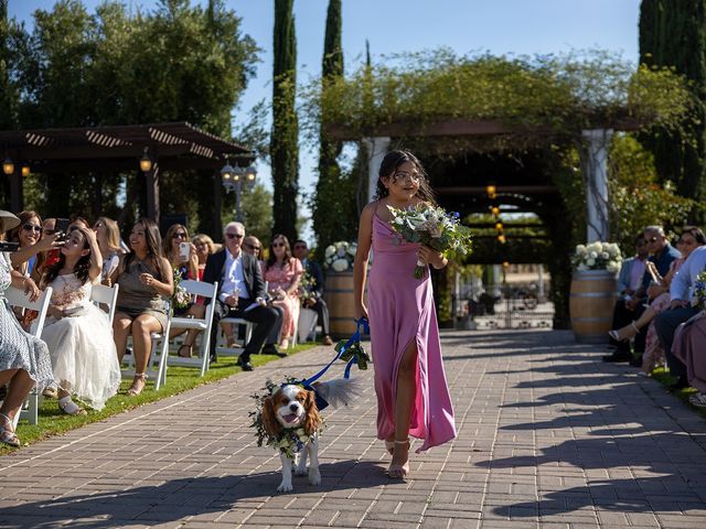 Alan and Maria&apos;s Wedding in Temecula, California 64