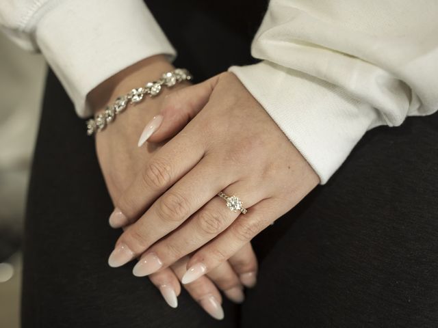 Aren and Andrea&apos;s Wedding in Rochester, Michigan 4