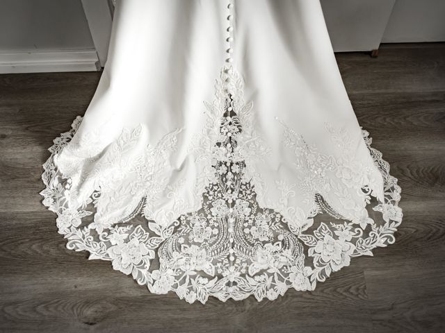 Aren and Andrea&apos;s Wedding in Rochester, Michigan 5