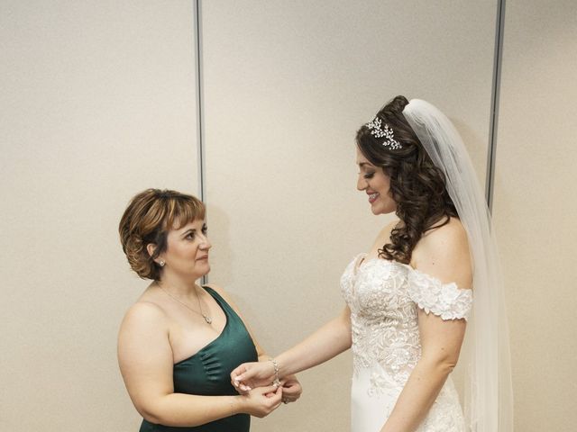 Aren and Andrea&apos;s Wedding in Rochester, Michigan 8