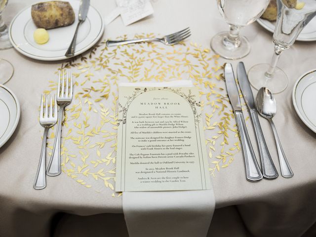 Aren and Andrea&apos;s Wedding in Rochester, Michigan 27