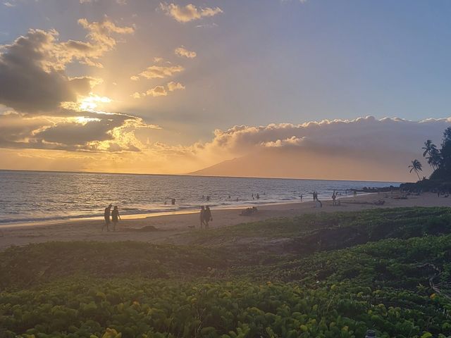 Danny and Janine&apos;s Wedding in Kihei, Hawaii 6