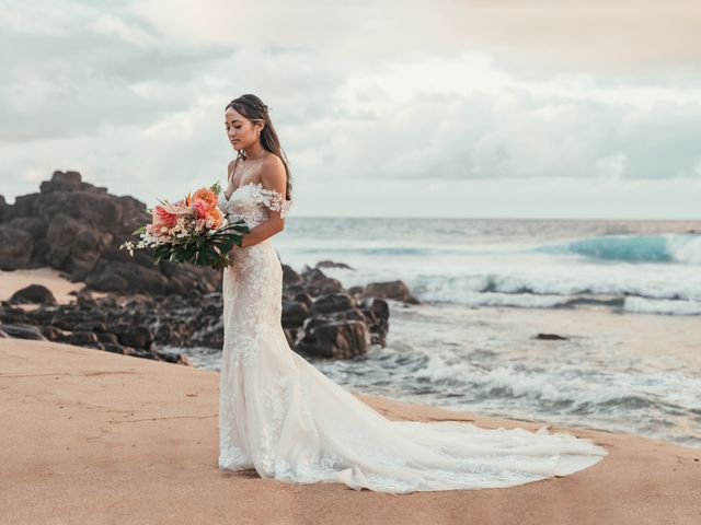 Cherry and Brandon&apos;s Wedding in Kilauea, Hawaii 1