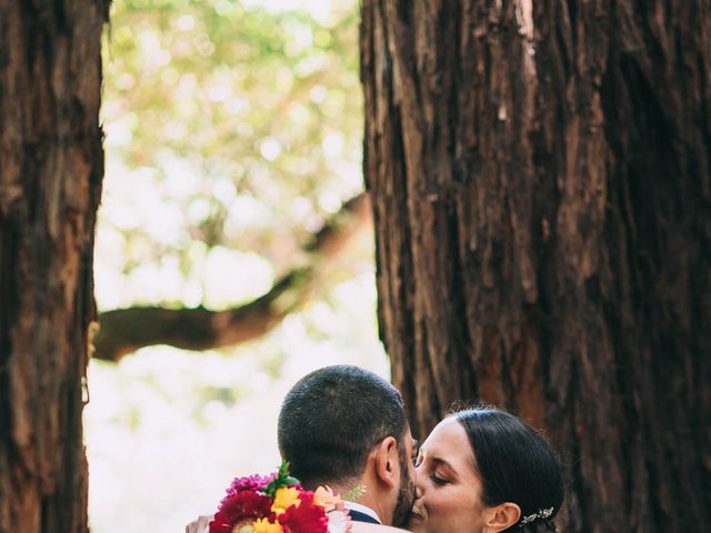 Kevin and Kate&apos;s Wedding in Mill Valley, California 26