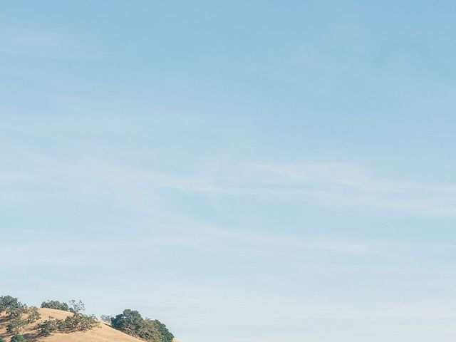 Alex and Yassi&apos;s Wedding in San Martin, California 12