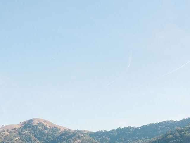 Alex and Yassi&apos;s Wedding in San Martin, California 14