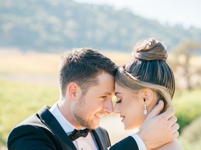 Alex and Yassi&apos;s Wedding in San Martin, California 27