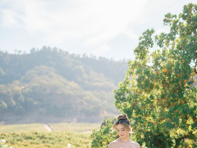 Alex and Yassi&apos;s Wedding in San Martin, California 33