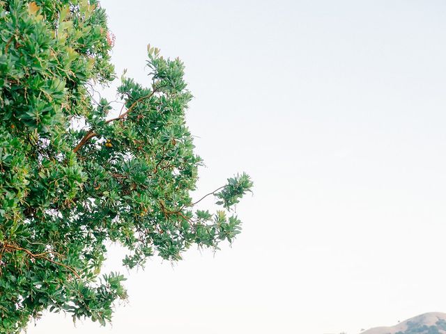 Alex and Yassi&apos;s Wedding in San Martin, California 66