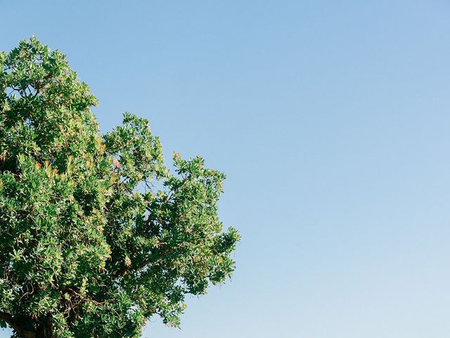 Alex and Yassi&apos;s Wedding in San Martin, California 118