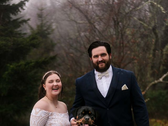 Logan and Ashley&apos;s Wedding in Asheville, North Carolina 38