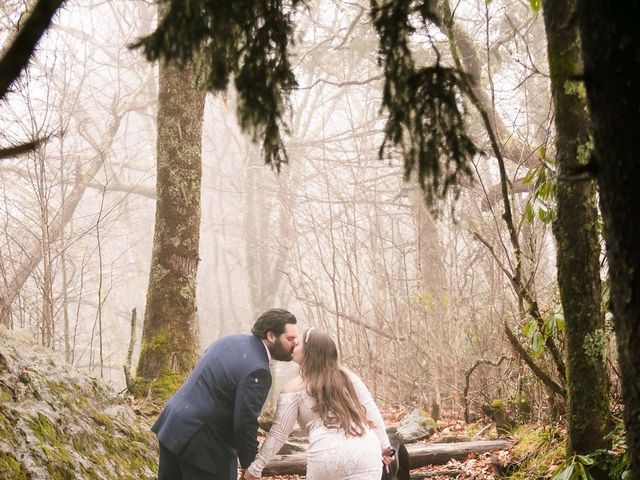 Logan and Ashley&apos;s Wedding in Asheville, North Carolina 78