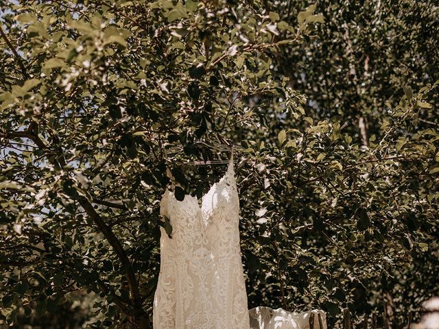 Eric and Alicia's Wedding in Longmont, Colorado 43