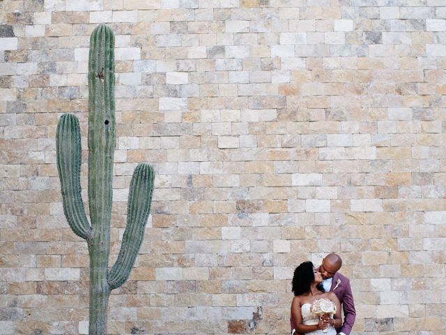 Joel and Ava&apos;s Wedding in San Jose del Cabo, Mexico 27