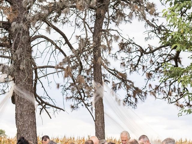 Matthew and Melinda's Wedding in Plain City, Ohio 5