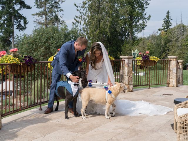 JOMN and TESSA's Wedding in Bainbridge Island, Washington 420