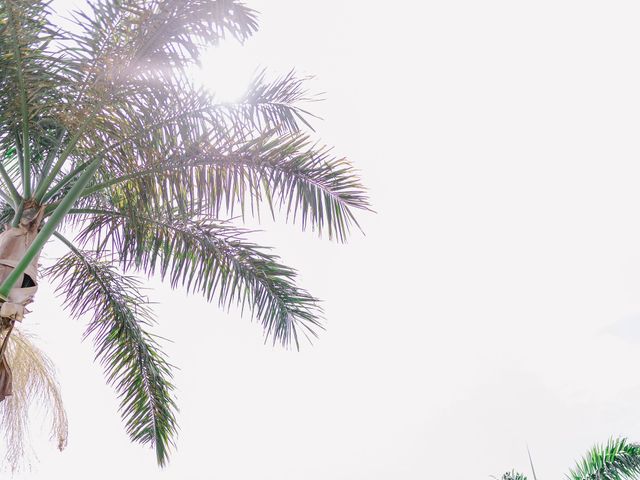 Rishi and Rondede&apos;s Wedding in Montego Bay, Jamaica 16