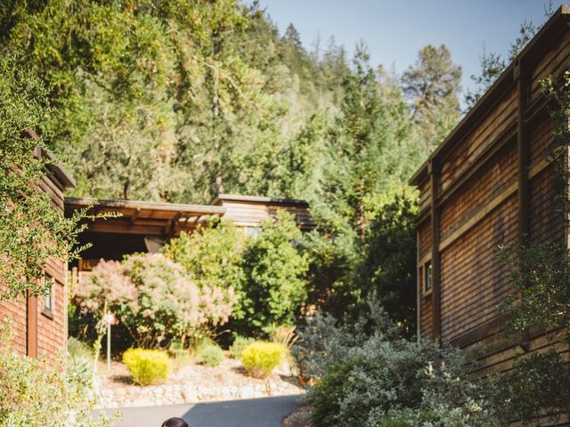 AJ Duca and Lauren Duca&apos;s Wedding in Calistoga, California 21