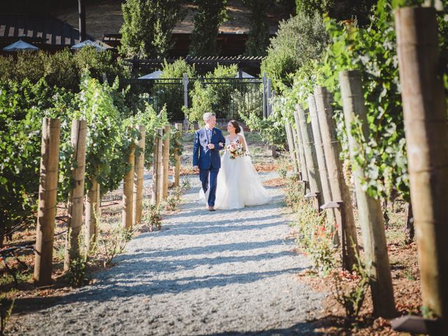 AJ Duca and Lauren Duca&apos;s Wedding in Calistoga, California 26