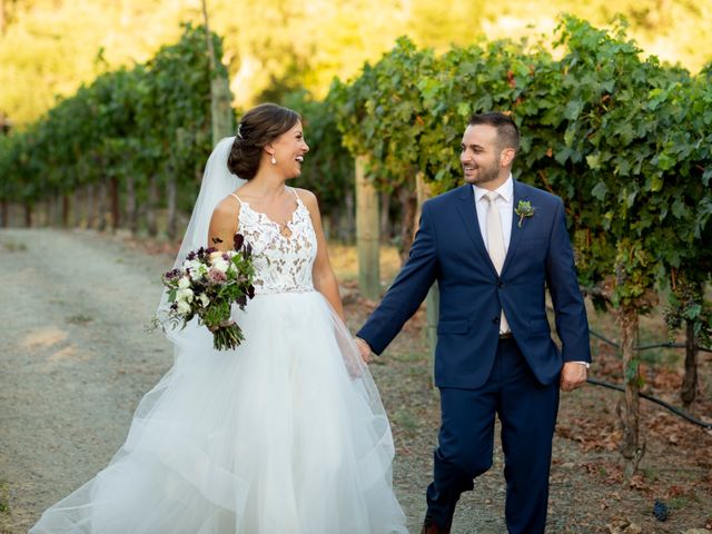 AJ Duca and Lauren Duca&apos;s Wedding in Calistoga, California 41