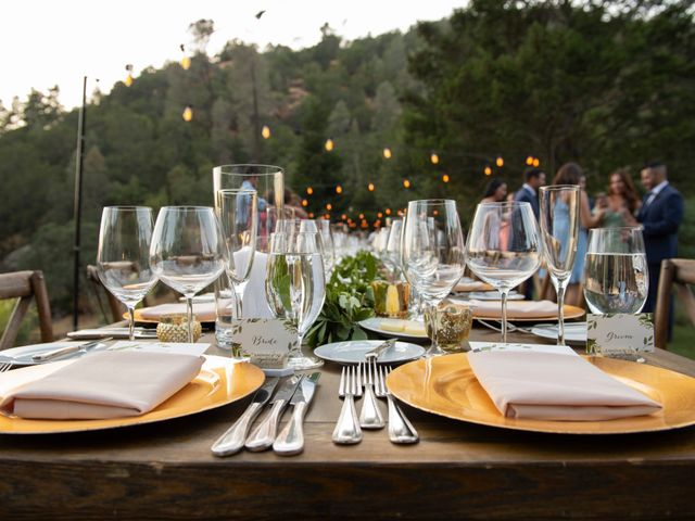 AJ Duca and Lauren Duca&apos;s Wedding in Calistoga, California 49