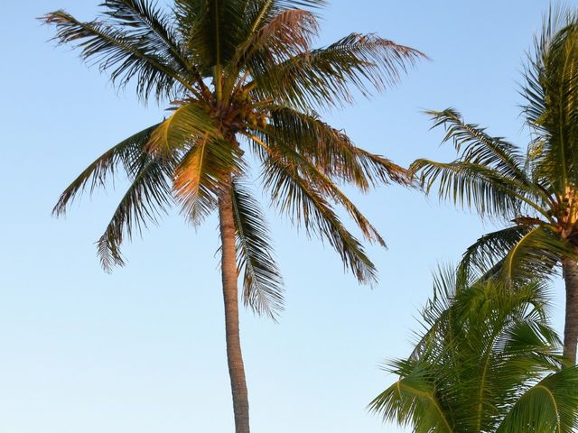 Eric and Jaclyn&apos;s Wedding in Islamorada, Florida 2