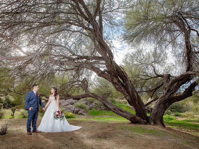Seth and Amanda&apos;s Wedding in Scottsdale, Arizona 1