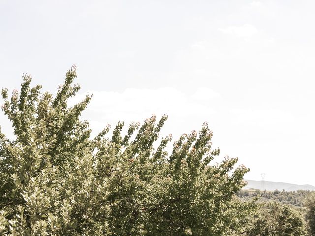 Spencer and Sophie's Wedding in Grosseto, Italy 36