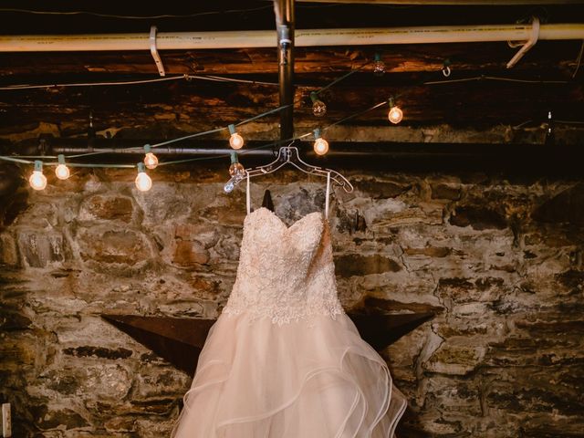 Shane and Tricia's Wedding in Newtown, Pennsylvania 3