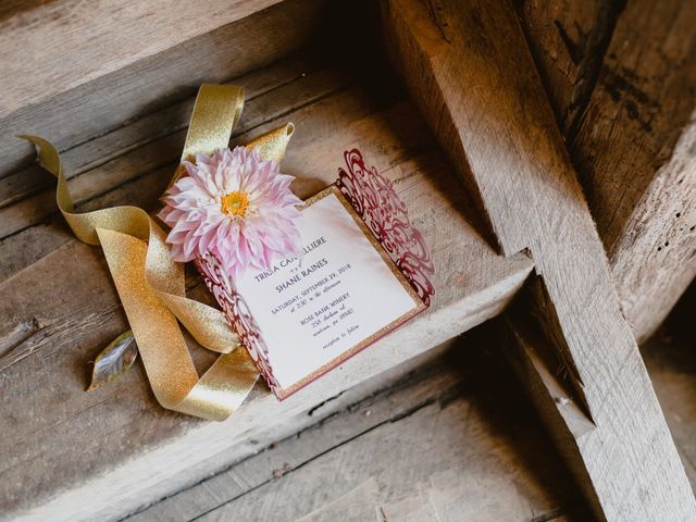 Shane and Tricia's Wedding in Newtown, Pennsylvania 7