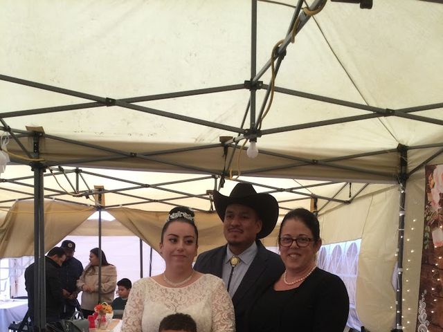 Sergio  and Rosa 's Wedding in Chicago, Illinois 4