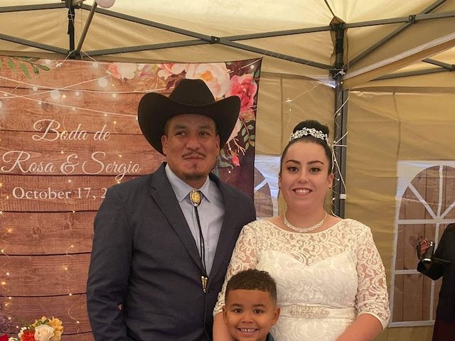 Sergio  and Rosa 's Wedding in Chicago, Illinois 9