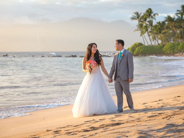 Anthony and Sharron&apos;s Wedding in Kihei, Hawaii 3
