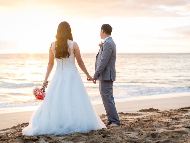 Anthony and Sharron&apos;s Wedding in Kihei, Hawaii 1