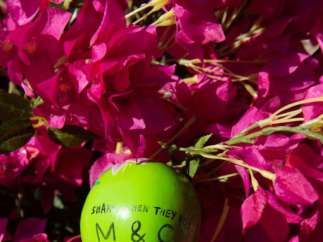 Cedric and Miriah's Wedding in Puerto Vallarta, Mexico 36