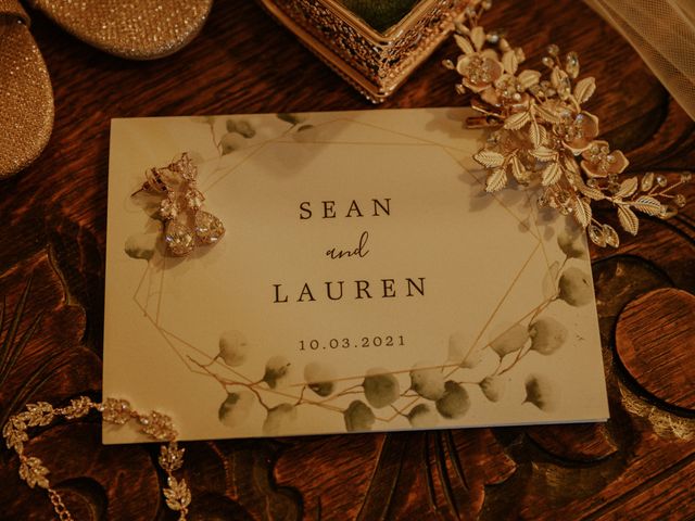 Sean and Lauren&apos;s Wedding in Ann Arbor, Michigan 3