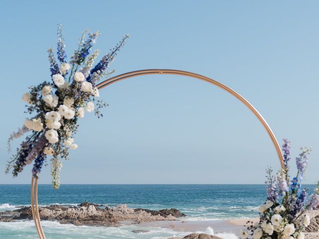 Andrew and Roberto&apos;s Wedding in San Jose del Cabo, Mexico 11