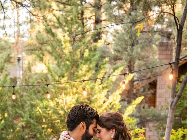 Samantha and Robert&apos;s Wedding in Big Bear Lake, California 4